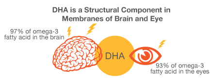 补充DHA你被套路了吗？娃的大脑发育巅峰DHA说了算？