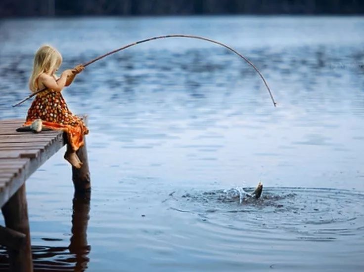 史上最全】家庭钓鱼周准备来袭，在安省钓鱼你需要知道的事！
