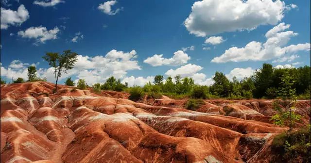 【国庆预热】盘点多伦多周边8个最适合自驾游的好去处! 【国庆预热】盘点多伦多周边8个最适合自驾游的好去处!