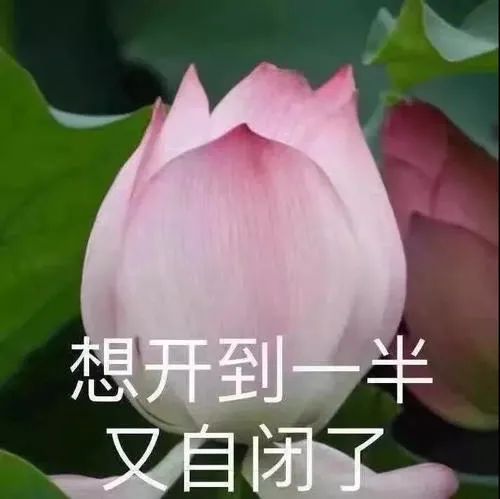 奇葩迷惑圣诞礼物大赏：哈哈哈哈，你真的真的想不到！